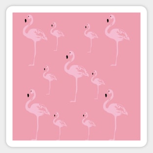 Pink Flamingo Birds Sticker